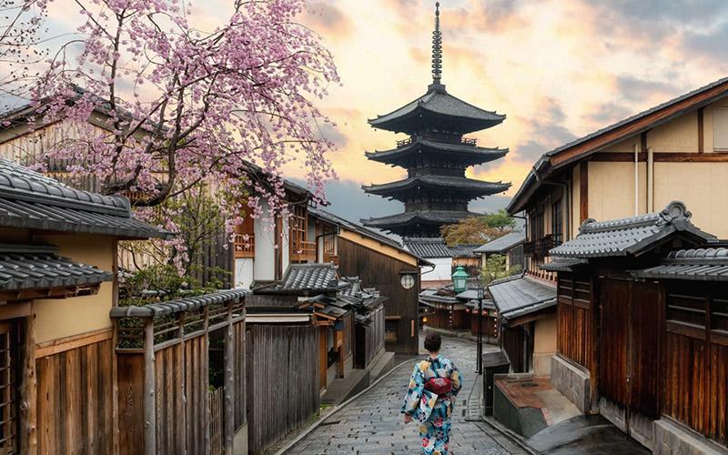 日本創業移民